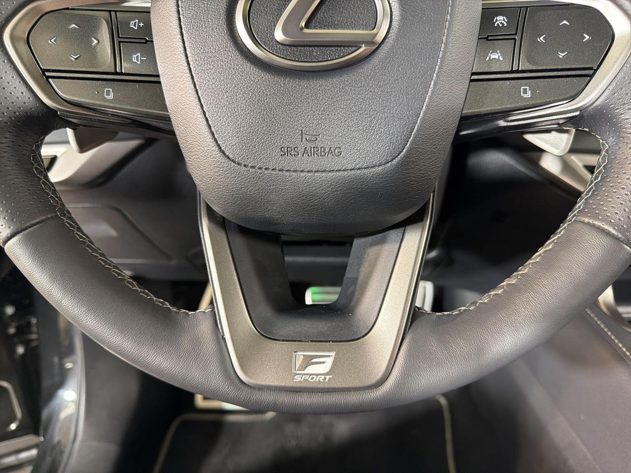 2024 Lexus RX 350 F Sport Handling Annapolis MD