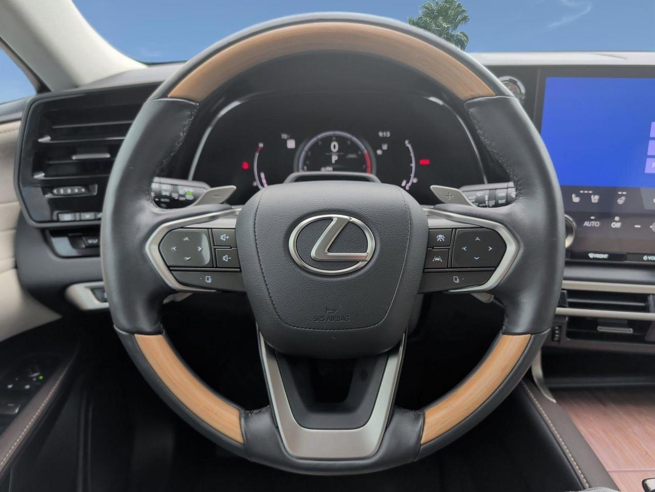 2024 Lexus RX 350 Luxury San Juan TX