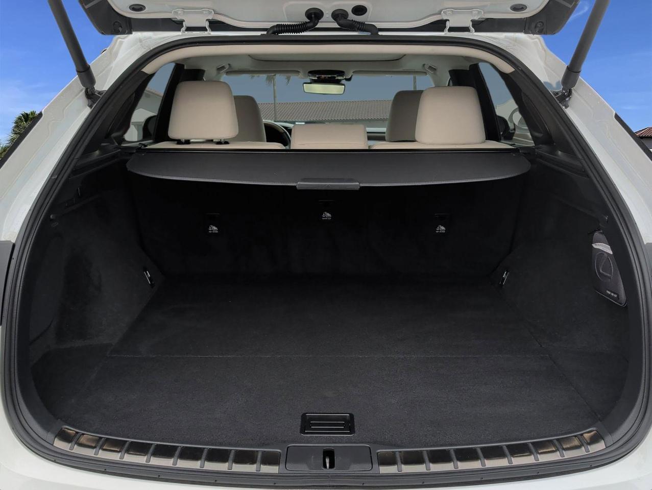 2024 Lexus RX 350 Luxury San Juan TX