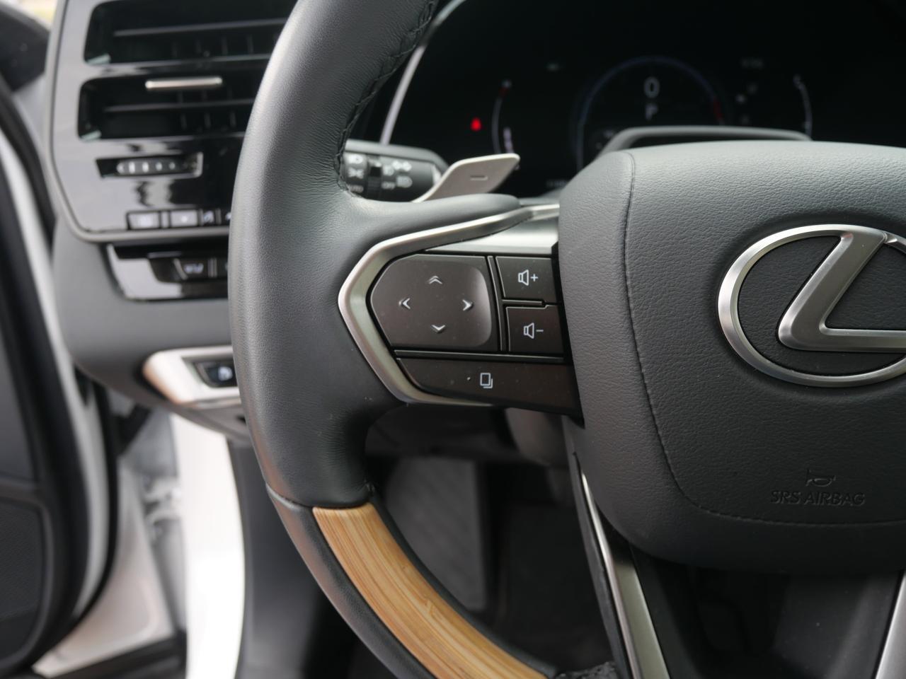 2024 Lexus RX 350 Luxury San Juan TX