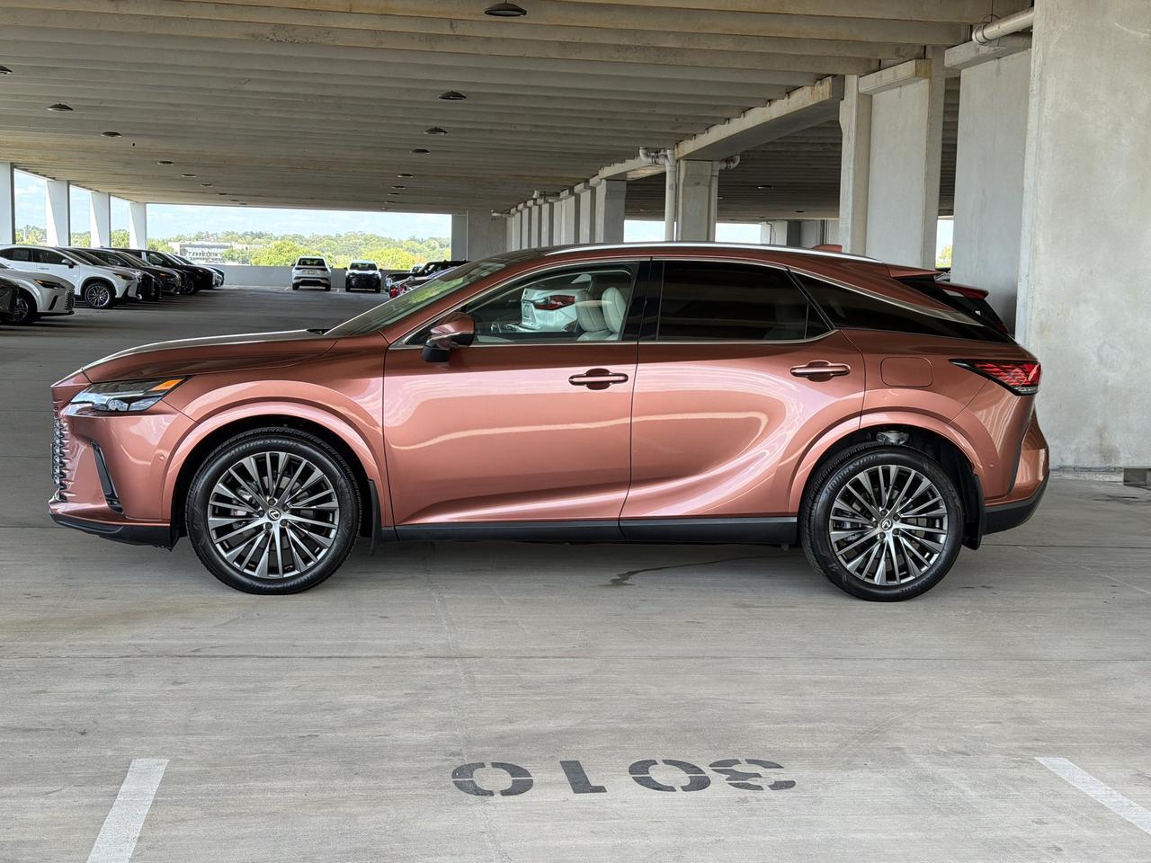 2024 Lexus RX