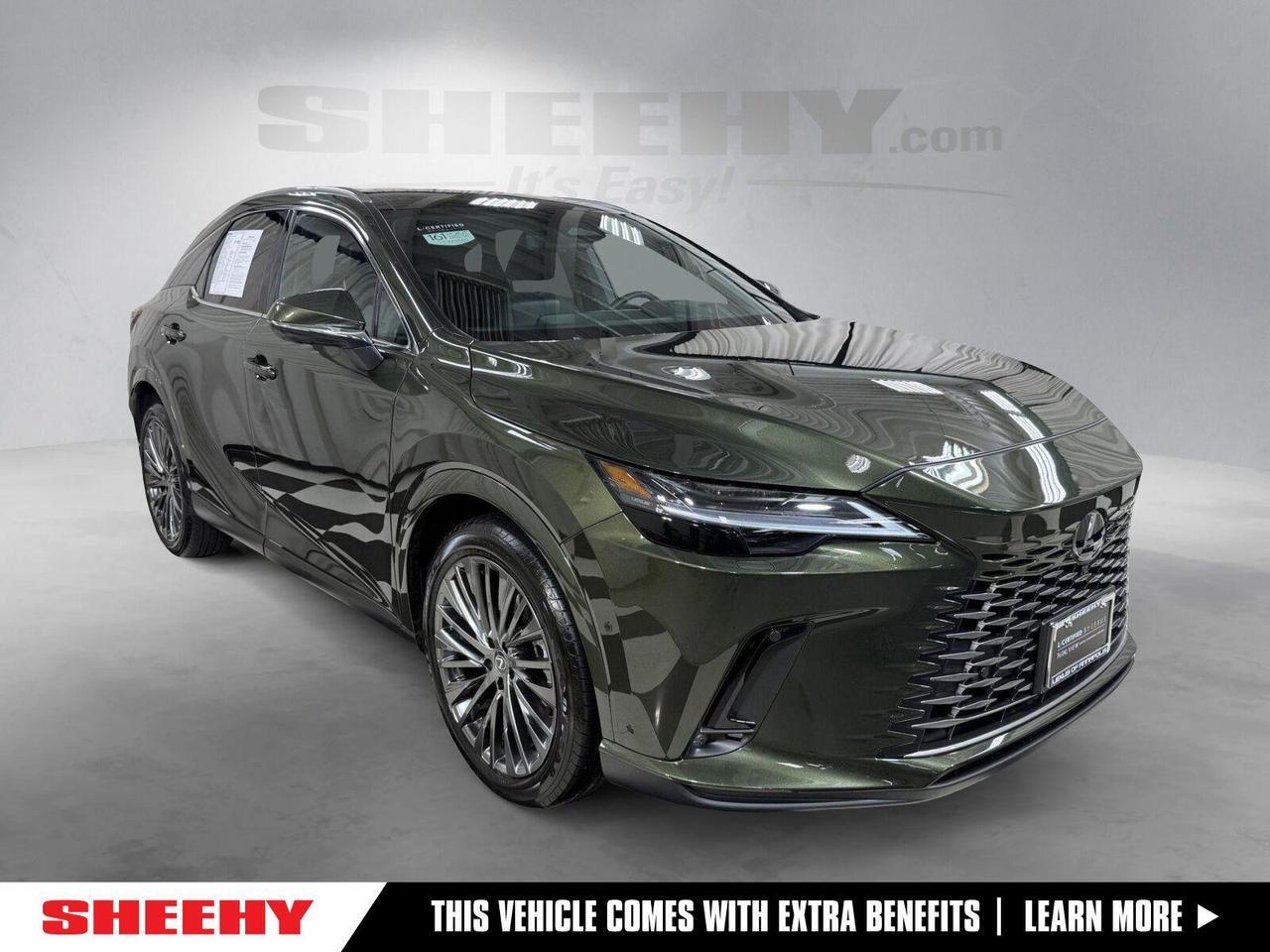 2024 Lexus RX