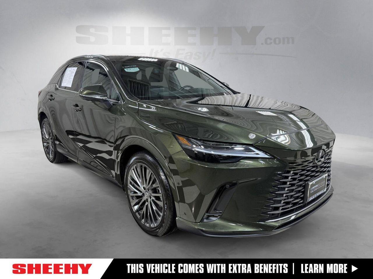 2024 Lexus RX