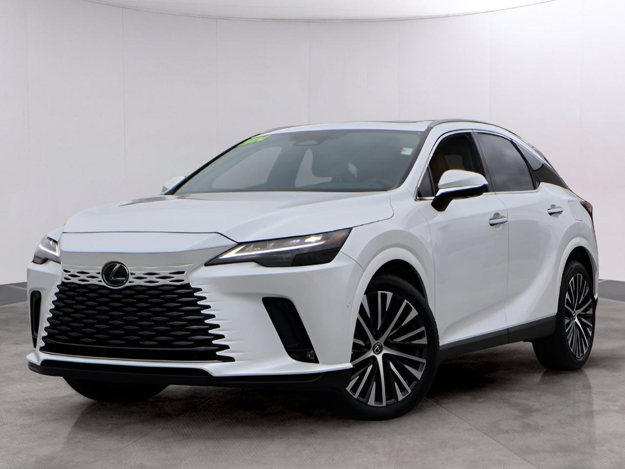 2024 Lexus RX