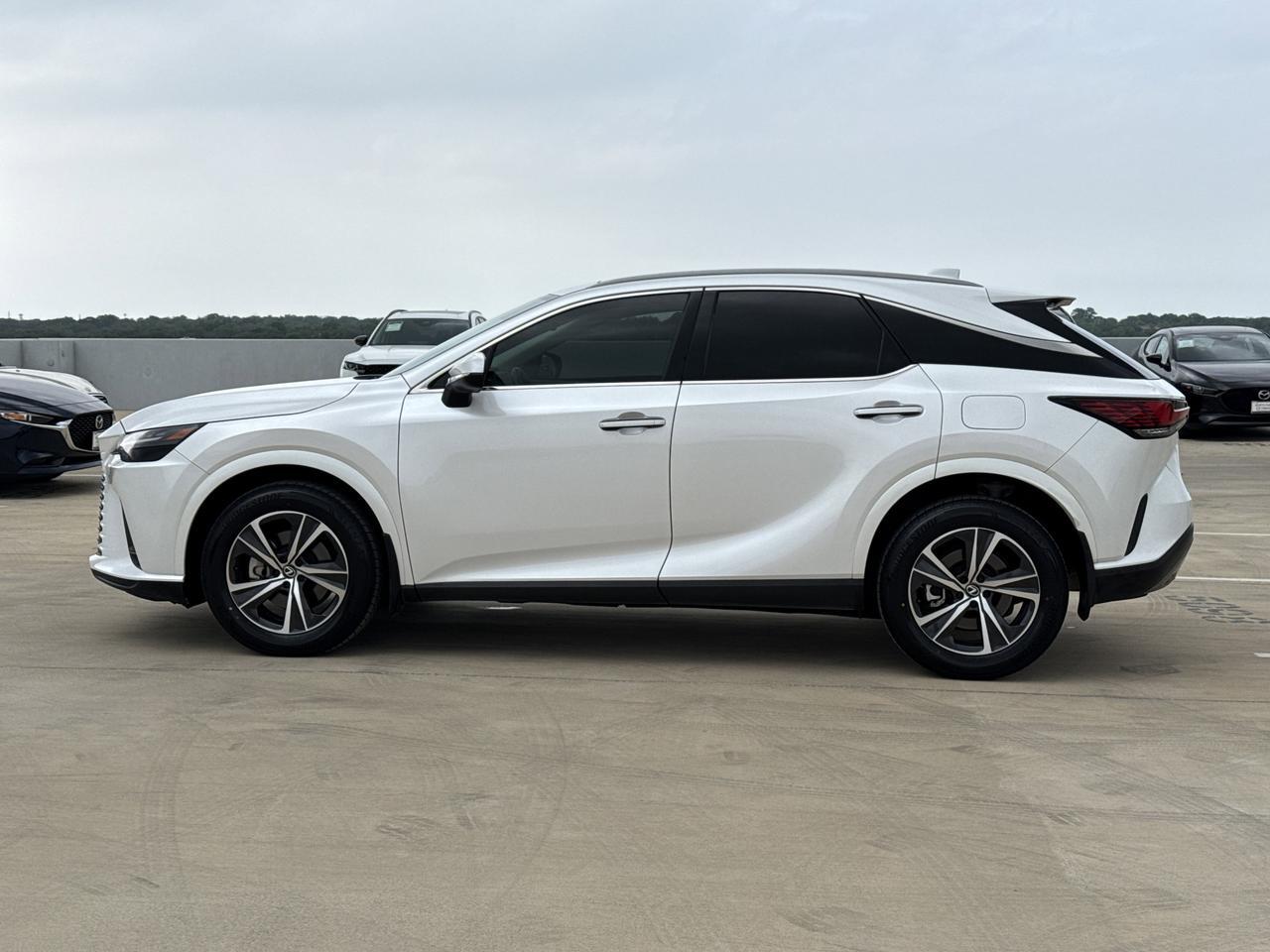 2024 Lexus RX