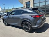 2024 Lexus RX 350 Premium San Diego County CA