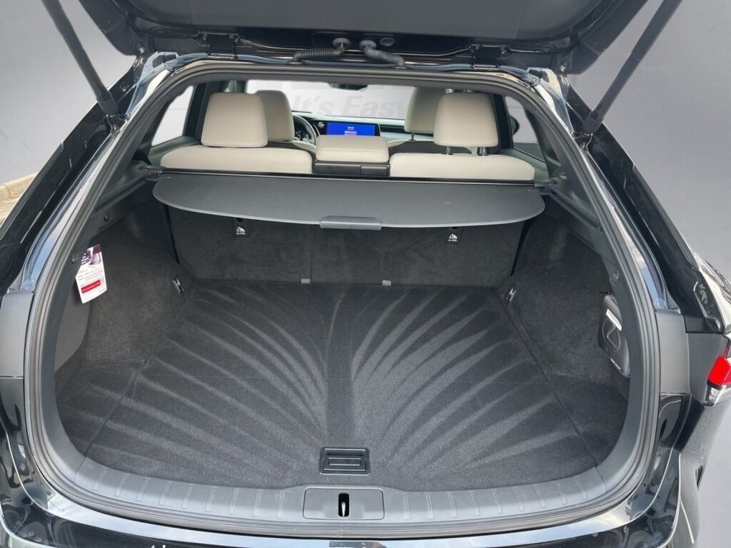 2024 Lexus RX 350 Premium Richmond VA
