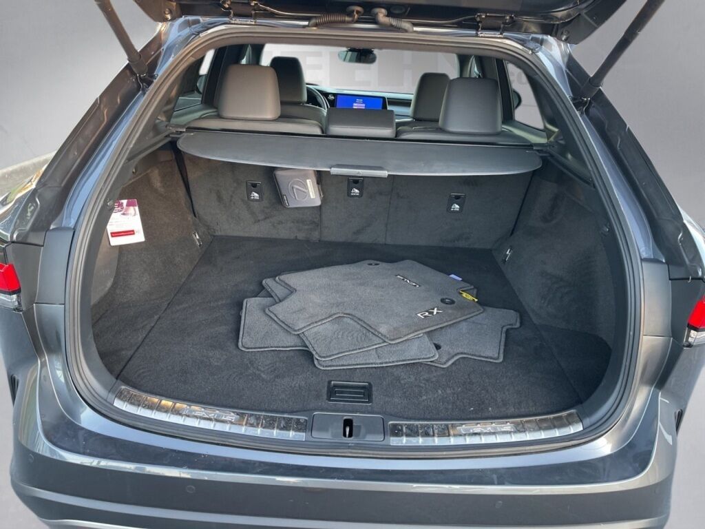 2024 Lexus RX 350 Premium Richmond VA
