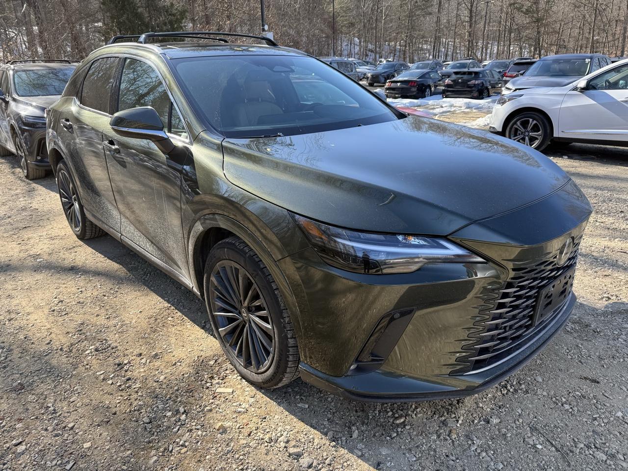 2024 Lexus RX