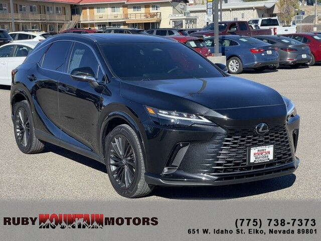 2024 Lexus RX