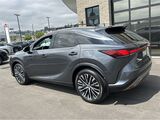 2024 Lexus RX 350h Premium Plus San Diego County CA