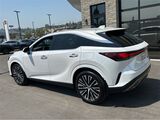 2024 Lexus RX 350h Premium Plus San Diego County CA