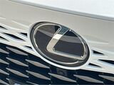 2024 Lexus RX 350h Premium Plus San Diego County CA