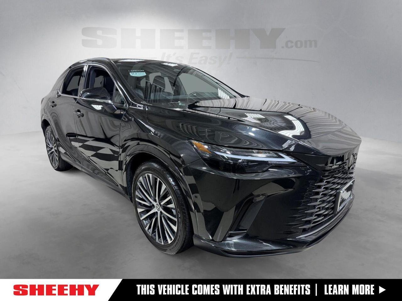 2024 Lexus RX