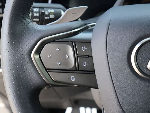 2024 Lexus RX 500h F SPORT Performance Oshkosh WI