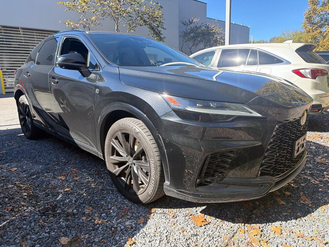 2024 Lexus RX