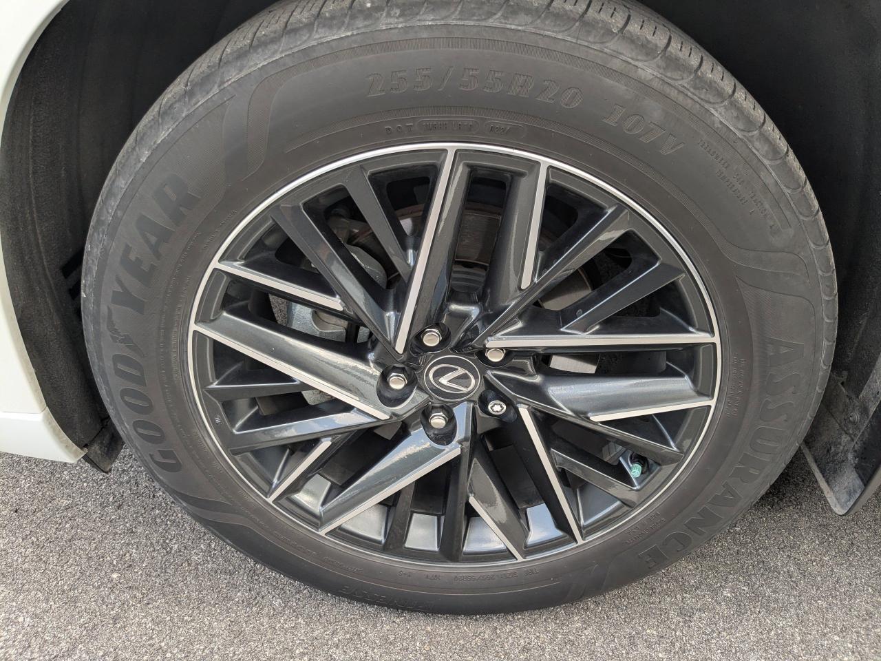 2024 Lexus TX 350 Luxury San Antonio TX