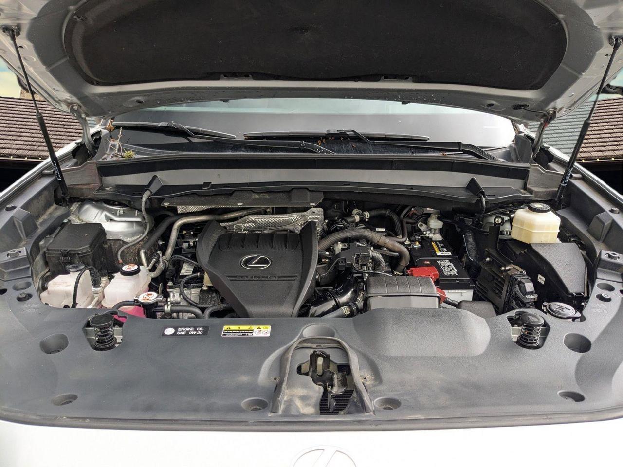 2024 Lexus TX 350 Luxury San Antonio TX