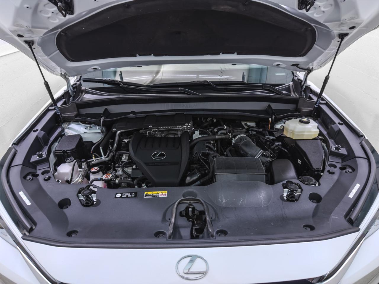 2024 Lexus TX 500H F SPORT Premium AWD Tallmadge OH