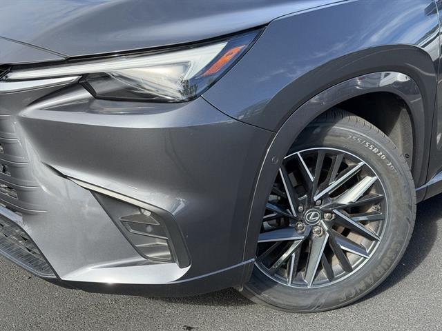 2024 Lexus TX Premium