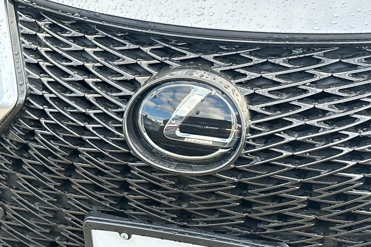 2024 Lexus UX 250h F SPORT Design Roseville CA