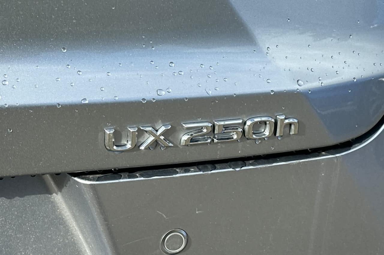 2024 Lexus UX 250h F SPORT Design Roseville CA
