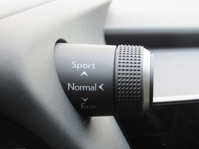2024 Lexus UX 250h Premium Plano TX
