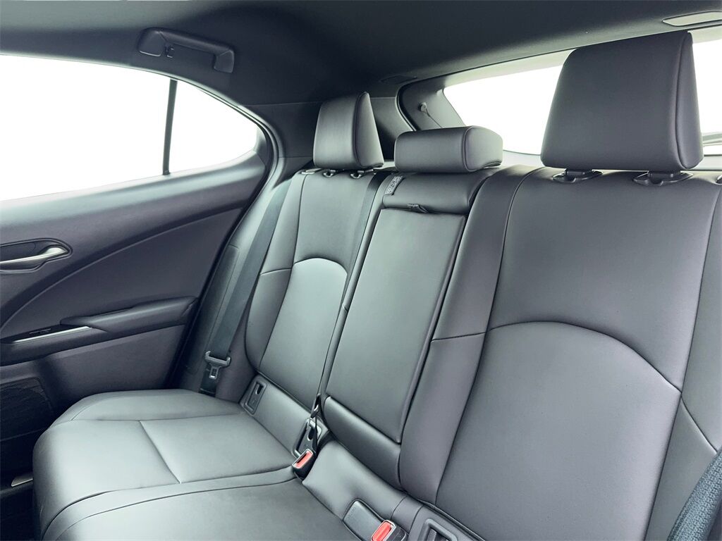 2024 Lexus UX 250h Premium Plano TX