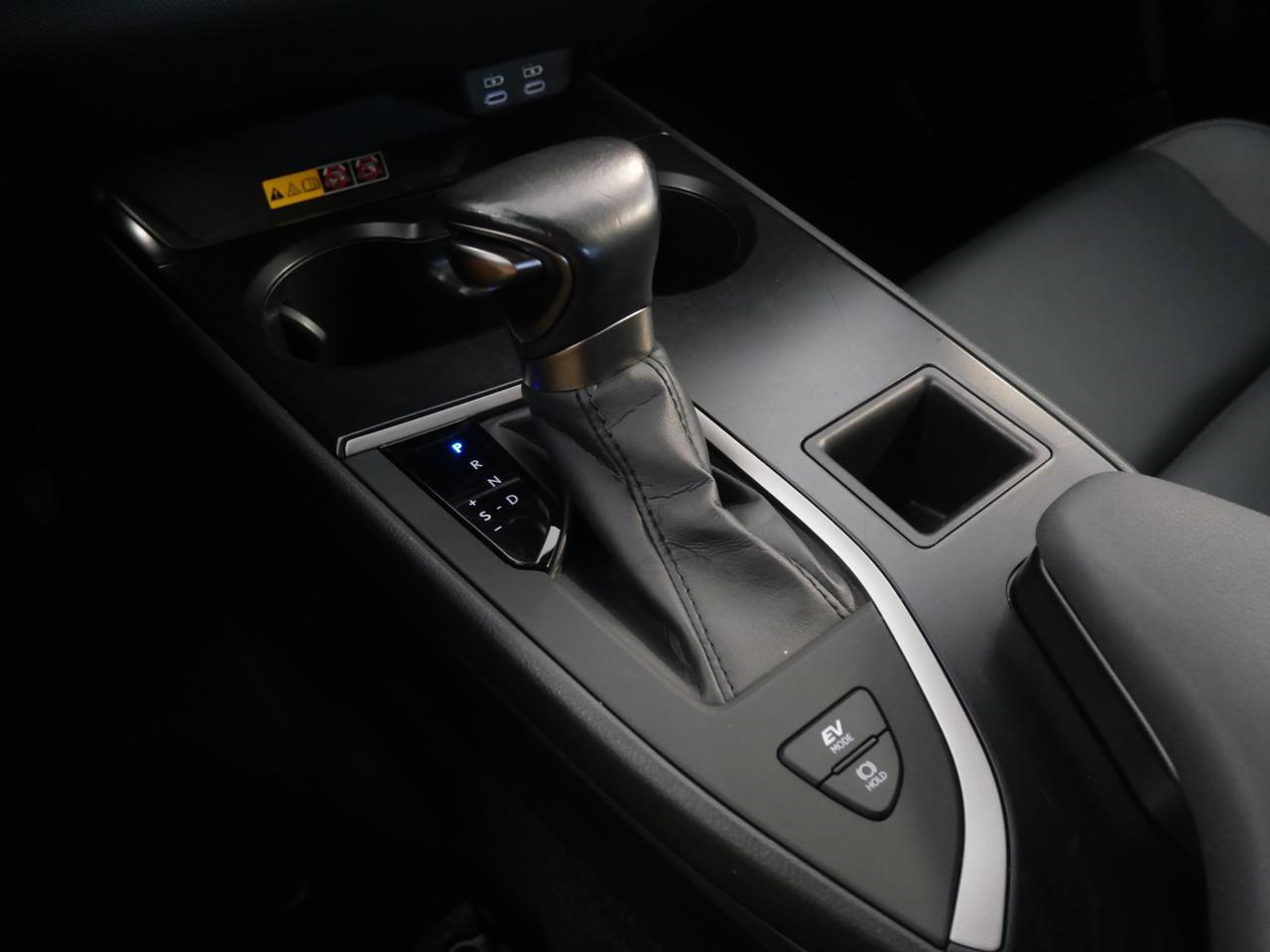 2024 Lexus UX 250h San Juan TX