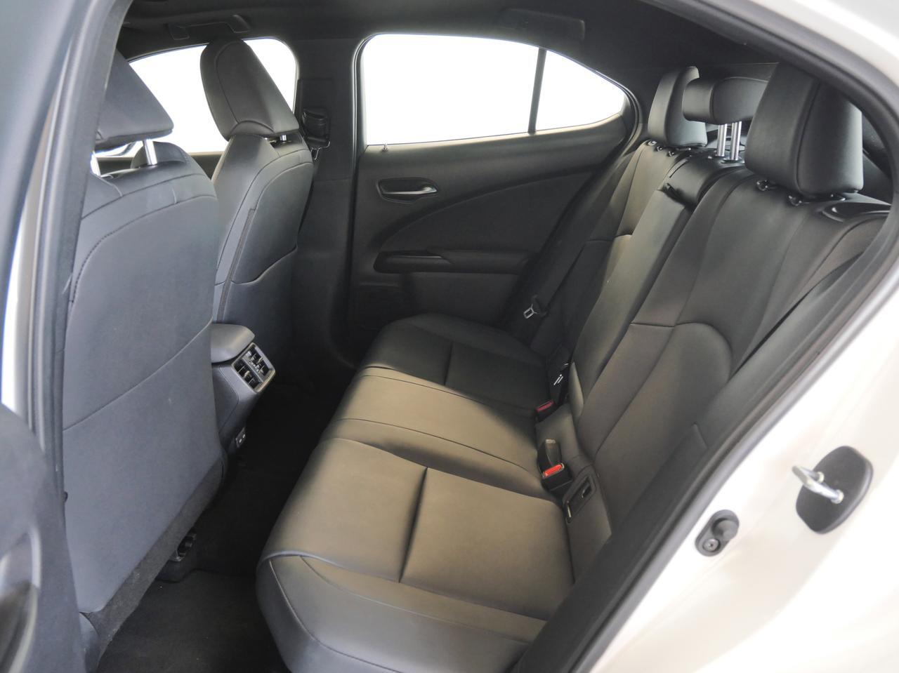 2024 Lexus UX 250h San Juan TX