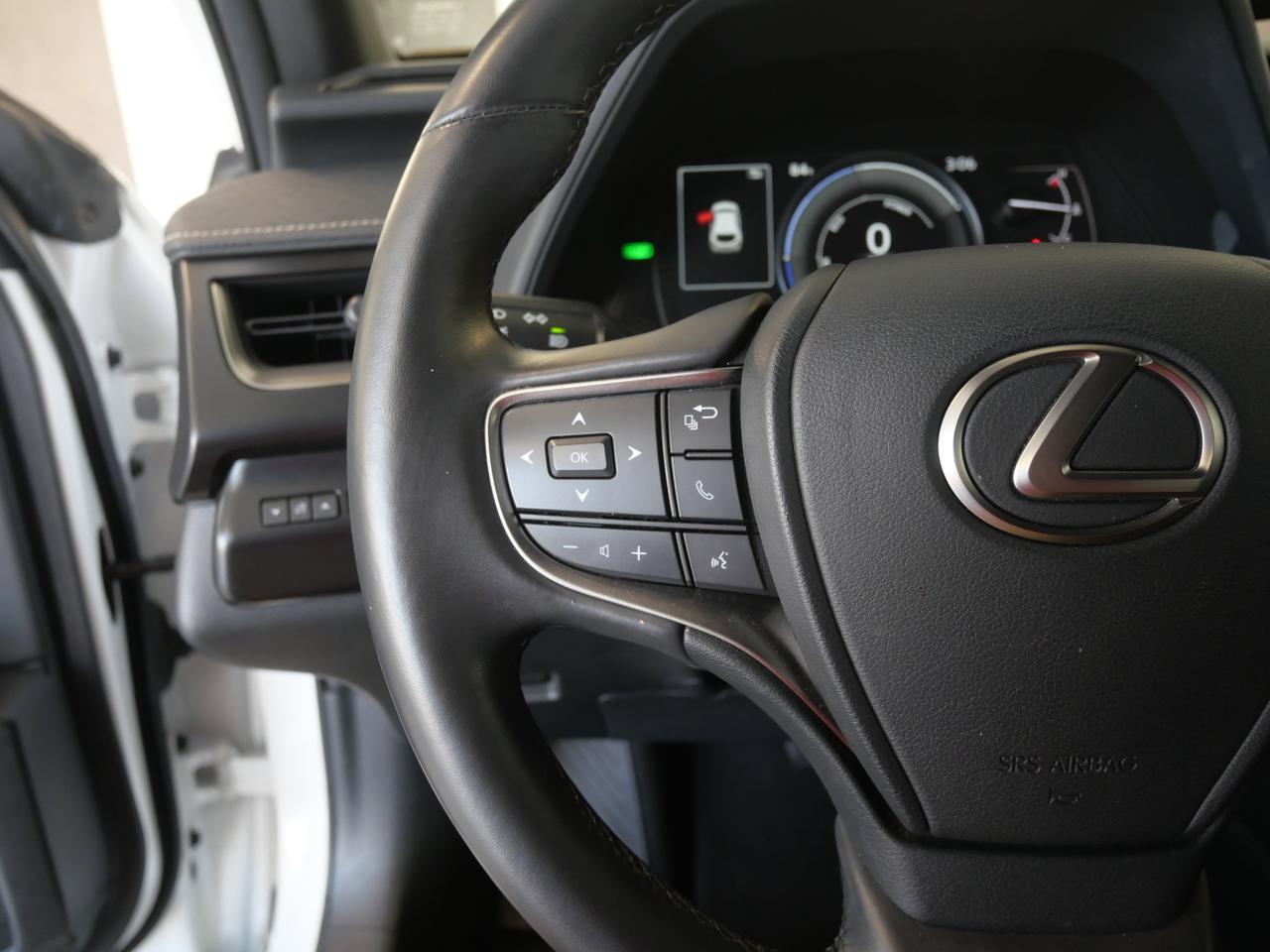 2024 Lexus UX 250h San Juan TX