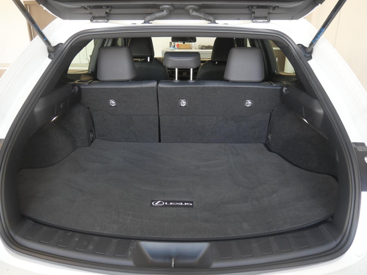 2024 Lexus UX 250h San Juan TX