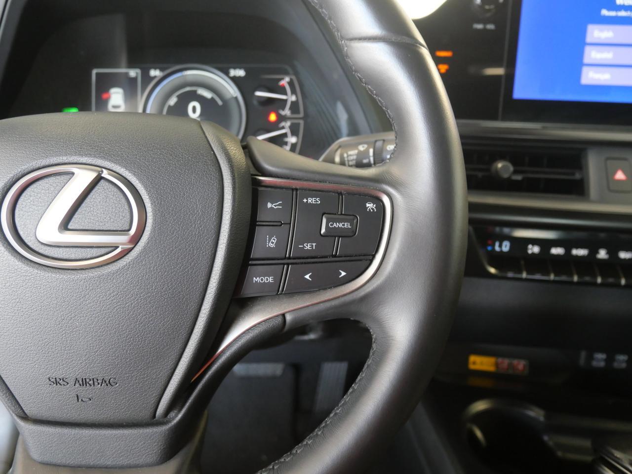 2024 Lexus UX 250h San Juan TX