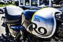 2024 Royal Enfield Hunter 350 Rebel Black Boston MA