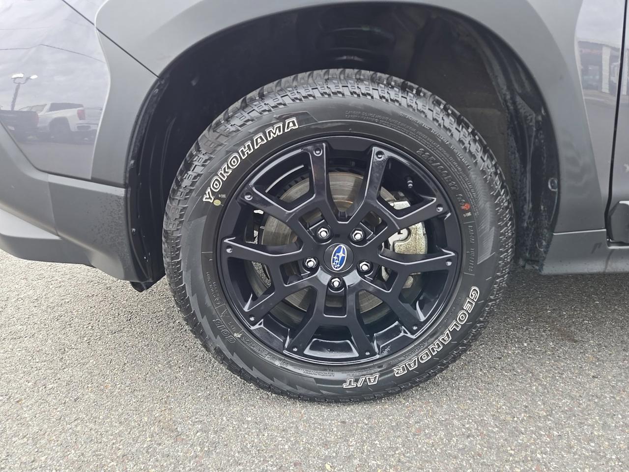 2024 Subaru Crosstrek Wilderness Fredericksburg VA