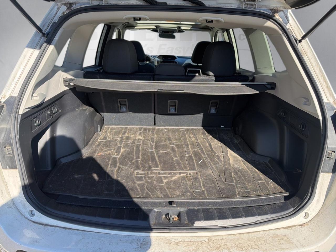 2024 Subaru Forester Premium Ashland VA