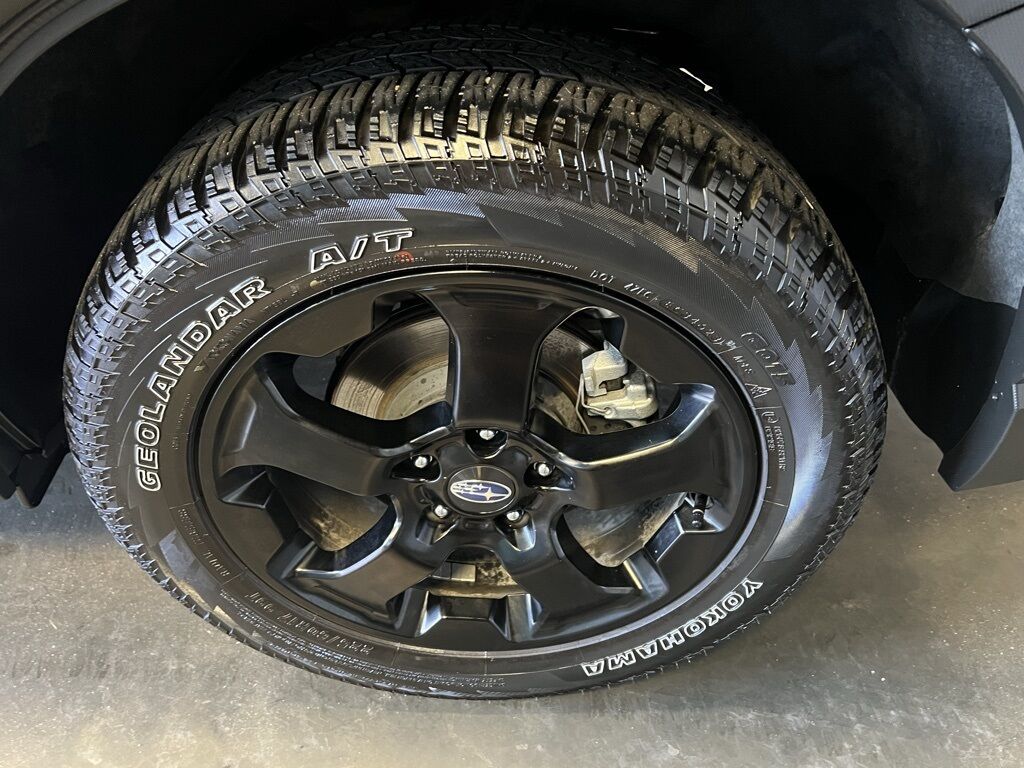 2024 Subaru Forester Wilderness Loveland CO