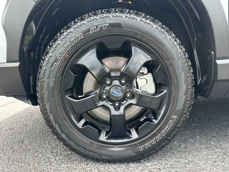 2024 Subaru Forester Wilderness Jacksonville FL