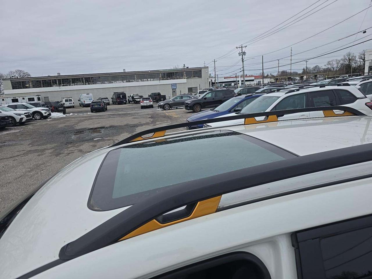 2024 Subaru Forester Wilderness Knoxville TN