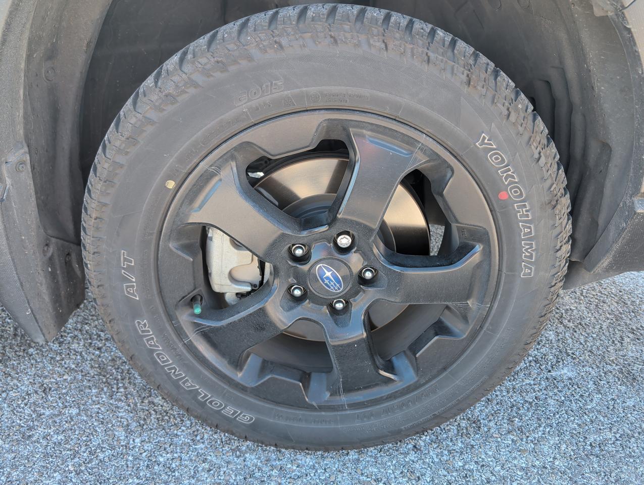 2024 Subaru Forester Wilderness San Antonio TX