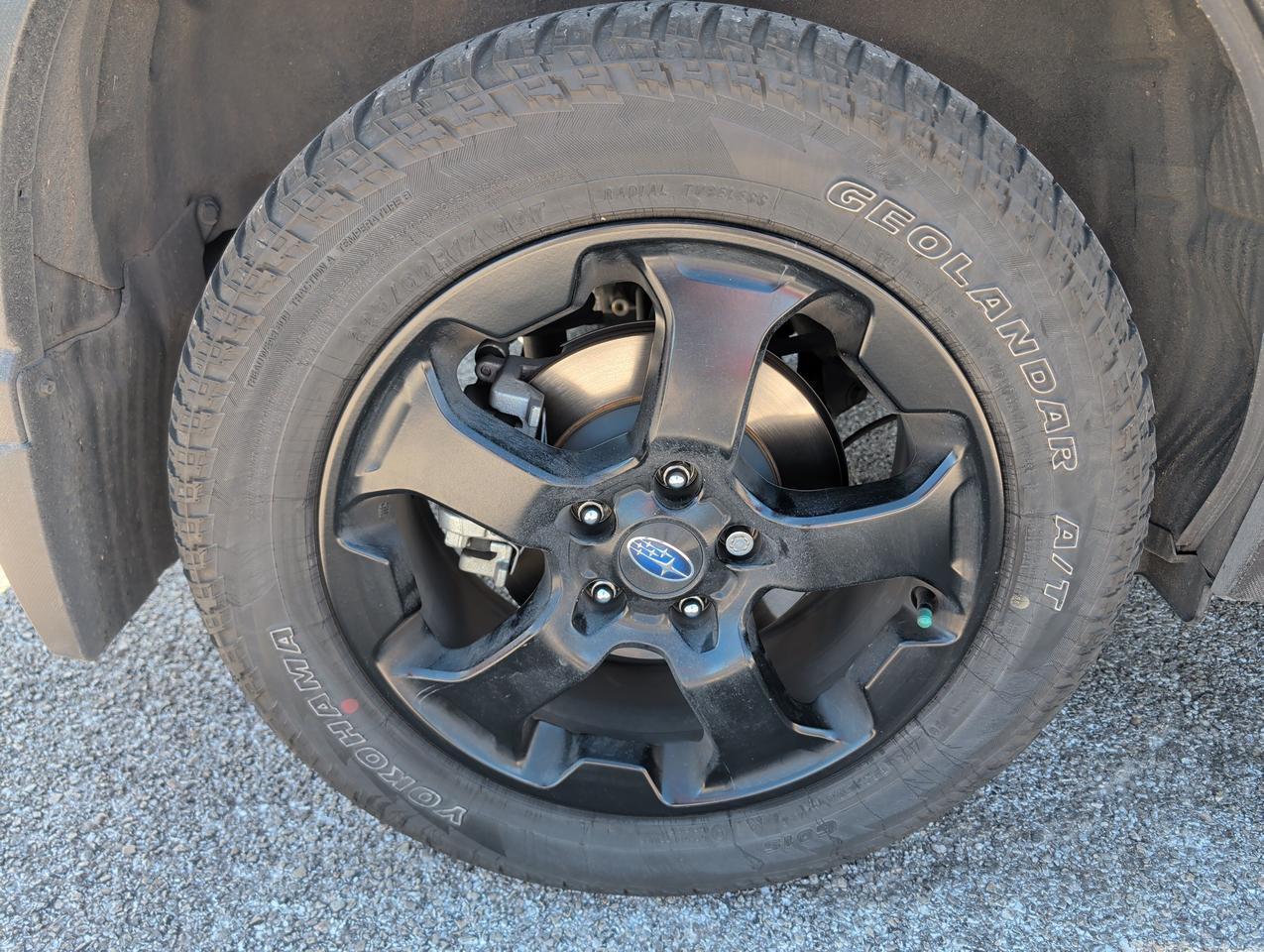 2024 Subaru Forester Wilderness San Antonio TX