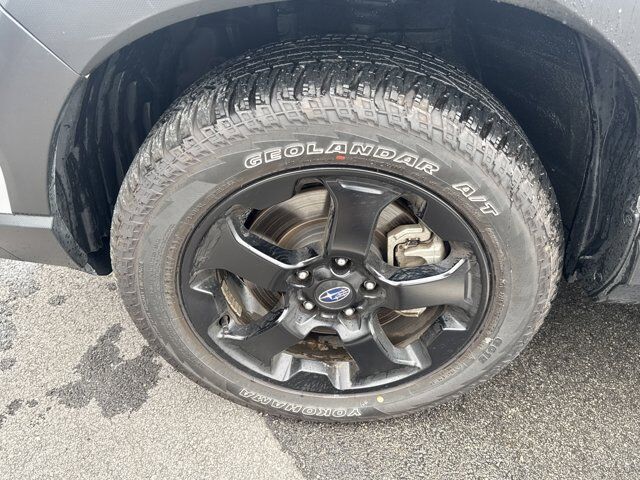 2024 Subaru Forester Wilderness San Antonio TX