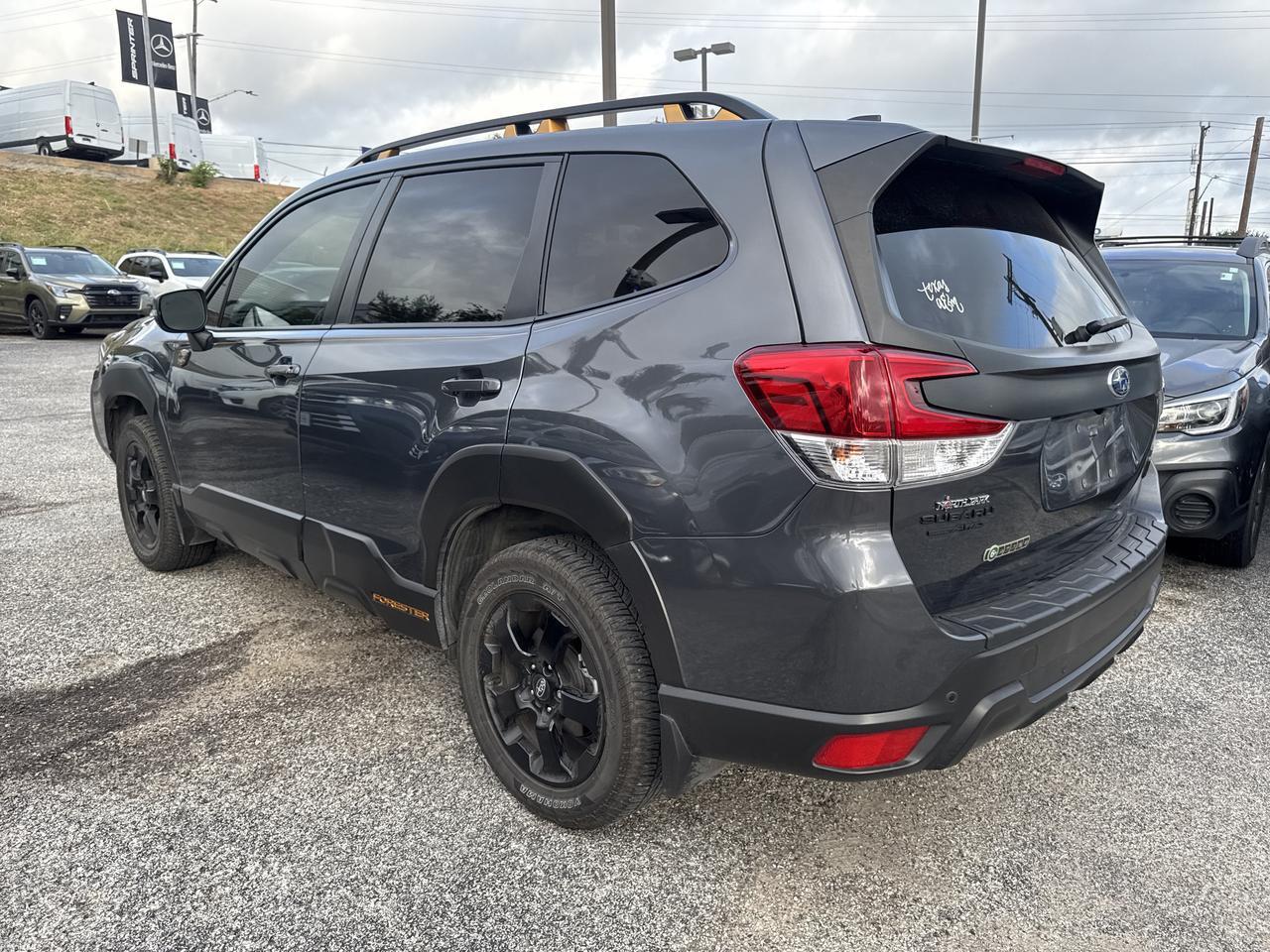 2024 Subaru Forester Wilderness San Antonio TX