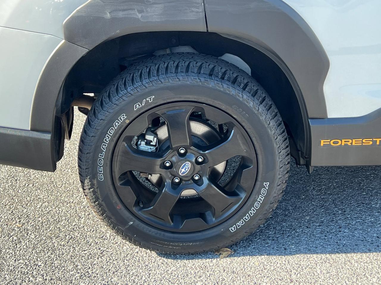 2024 Subaru Forester Wilderness Hagerstown MD