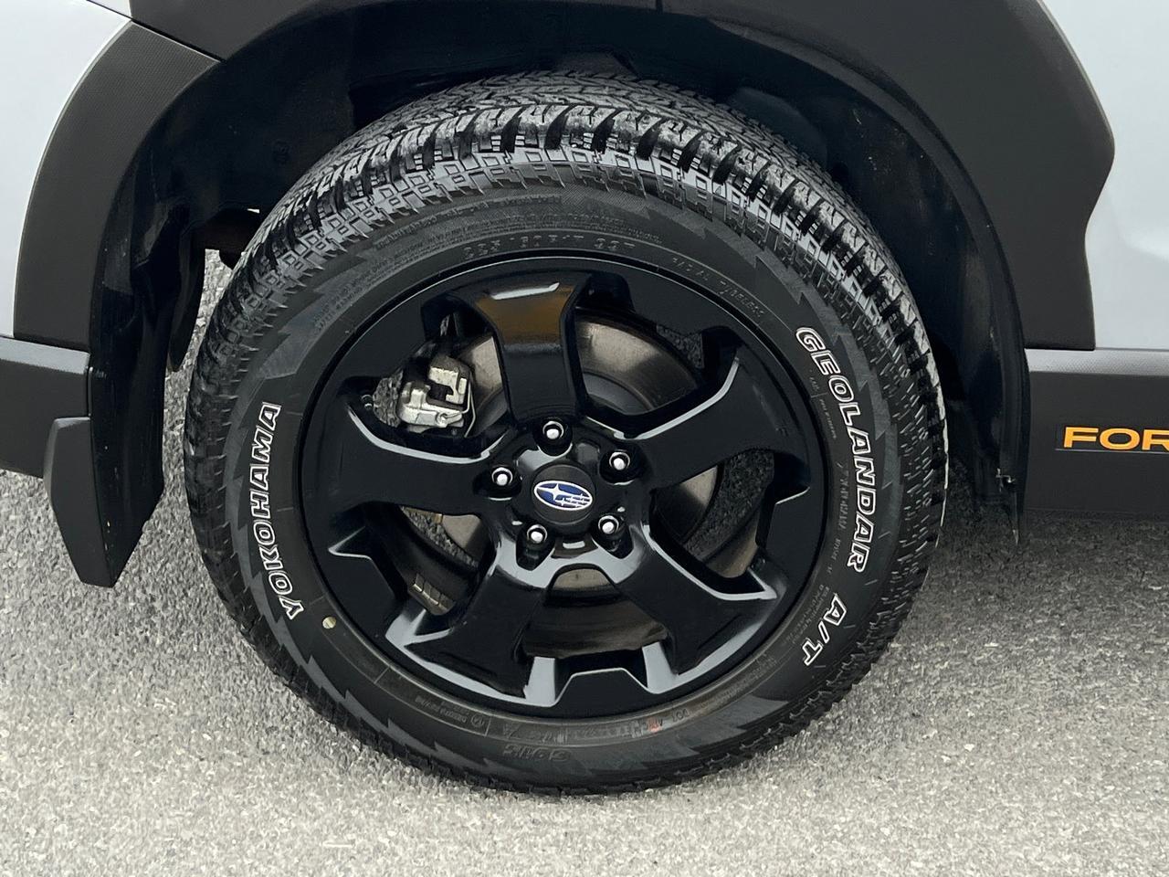 2024 Subaru Forester Wilderness Hagerstown MD