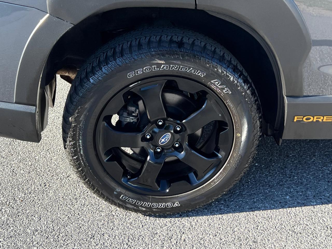 2024 Subaru Forester Wilderness Hagerstown MD