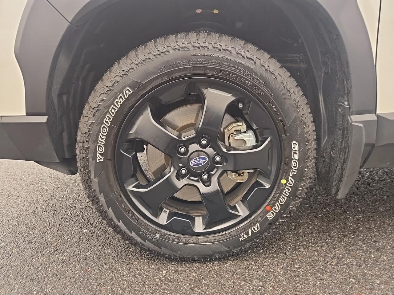 2024 Subaru Forester Wilderness Fredericksburg VA