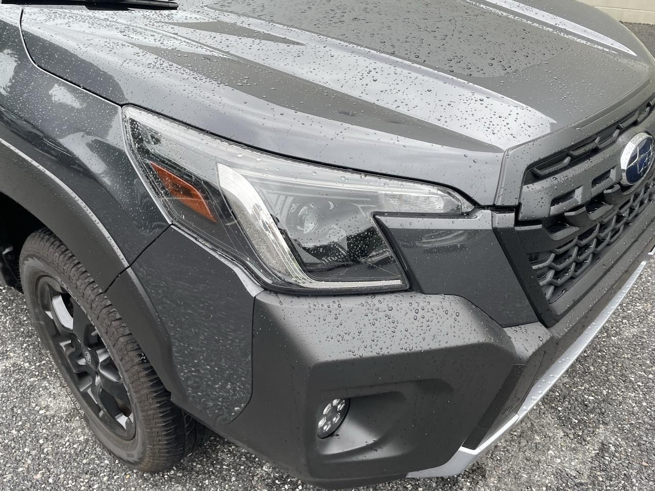 2024 Subaru Forester Wilderness Annapolis MD