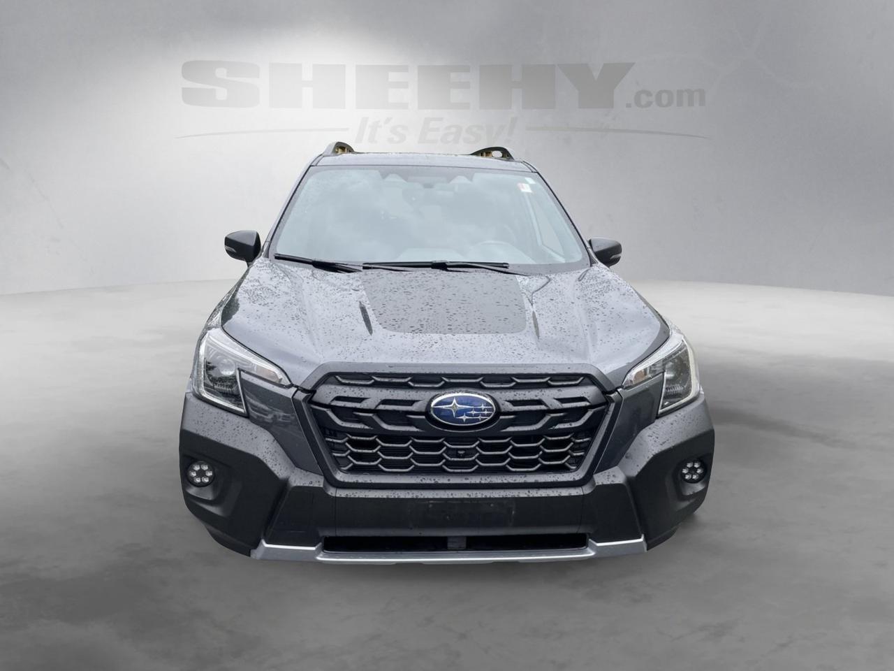 2024 Subaru Forester Wilderness Annapolis MD