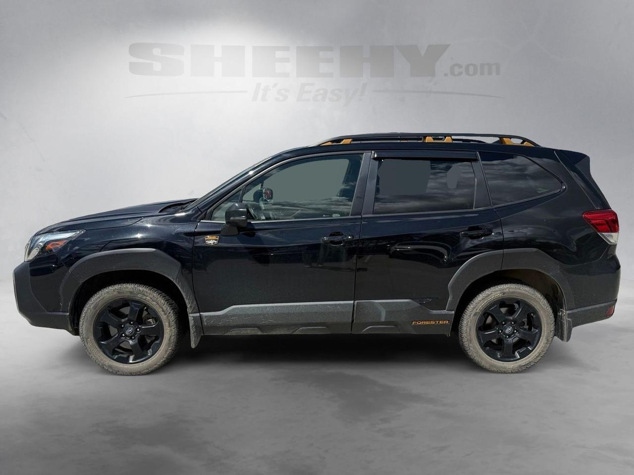 2024 Subaru Forester Wilderness Springfield VA